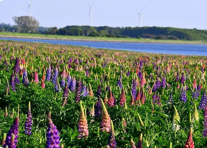 Lango Fjord Glamping Nr 2 Οργανωμένο κάμπινγκ *